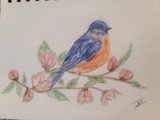 by Joanie Holliday