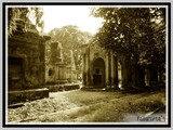 by Tanusree Roy