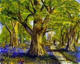 by Charles Skilton