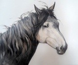 by JAN GREEN