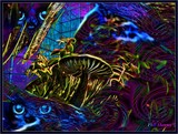 by Phil Aherne
