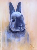 by Stacey Patterson