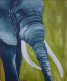by Rachel Garrity
