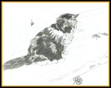 by Jackie Cooper