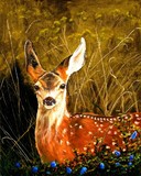 by john tukey