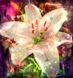 by Bette Cooke