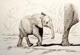 by Amanda Martin