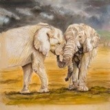 by Amanda Martin