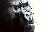 by Rob ijbema
