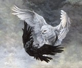 by Rebecca Magar