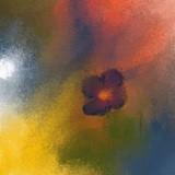 by Lakshmi Tungaturti