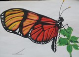 by refael degorker