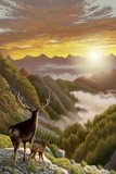 by Harri Honkala