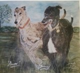 by Dawn Moir-Harris 