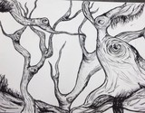 by tuesdae Gonzalez