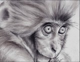 by Carlos Olvera