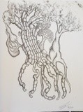 by Angella Reynolds-Screen