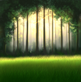 by Shade Lulu