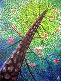 by Surekha  Rao
