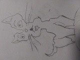 by Matthew Knight