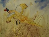 by Dora Gourley