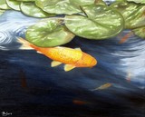 by John Houle