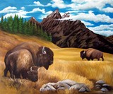 by John Houle