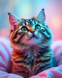 by Mihaela B