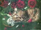 by Michaeline Wilkerson
