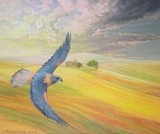 by Lana Korolievskaia