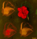 by Pepita Selles