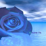 by Anne Vis