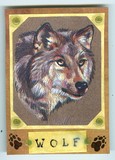 by Angie Waszkiewicz