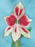 by Nancy Woolweber