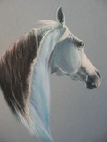 by Melissa Peterson