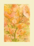 by Ros Callander