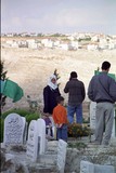 by Rafat Zrieq