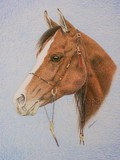 by Fiona Hooper