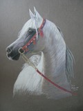 by Corrie McDermott