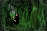 by Catherine Somerlot