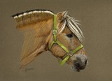 by Jennifer Redstreake