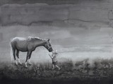 by Robert McCoy