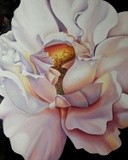 by nicolee payne