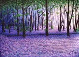 by Janna Ali