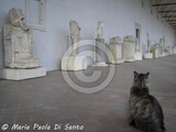 by Maria Paola Di Santo