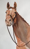 by Deborah  Johnson