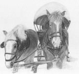 by Phyllis Gerben
