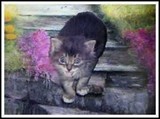 by Brenda Garacci