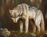 by Dmitry Guskov