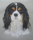 by Joanne Simpson-Connor